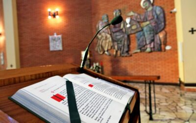 Calendario liturgico e giornalino parrocchiale 19-26 maggio 2024