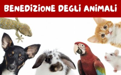 Vi aspettiamo domenica 21 gennaio alle 17 per la benedizione degli animali